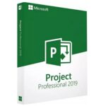 Project 2019 Professional Key